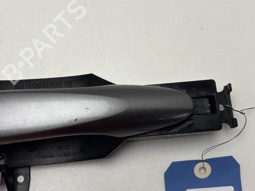 Rear left exterior door handle NISSAN QASHQAI II (J11, J11_) 1.5 dCi | BP29520119C130 