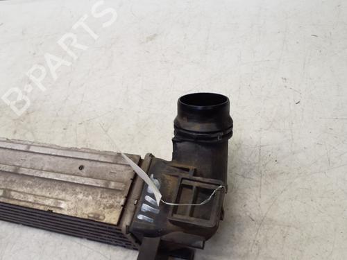 Used Intercooler Intercooler RENAULT SCÉNIC III (JZ0/1_) 1.5 dCi (110 hp) 29363598 29363598