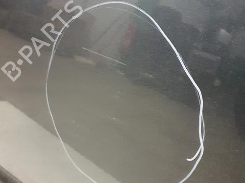 Left front door CITROËN C4 Picasso I MPV (UD_) 1.6 HDi | BP29368831C2 