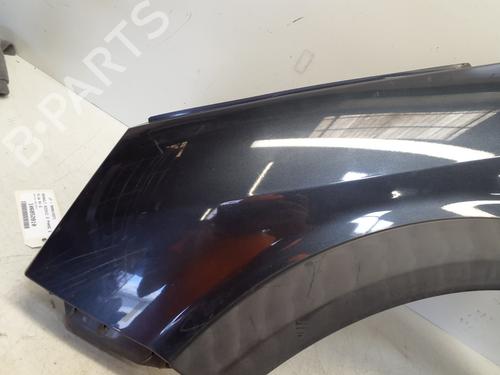 Left front fenders RENAULT SCÉNIC II (JM0/1_) 1.9 dCi (JM14) | BP29362339C41 