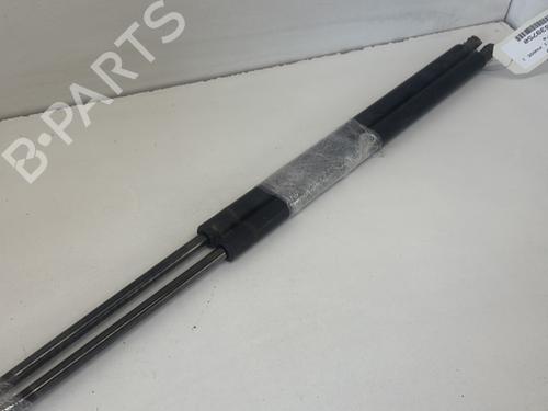 Tailgate lift support RENAULT KANGOO (KC0/1_) 1.4 (KC0C, KC0H, KC0B, KC0M) | BP29365331C138 