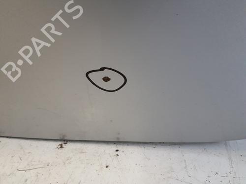 Tailgate RENAULT CLIO III (BR0/1, CR0/1) 1.6 16V GT (BR10, CR10) | BP29366230C6 