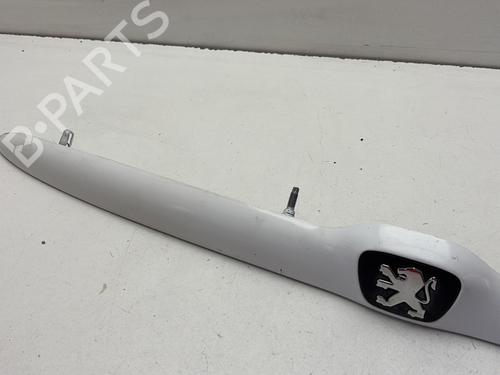 Tailgate trim PEUGEOT 206 Hatchback (2A/C) 1.4 i | BP30129257C151