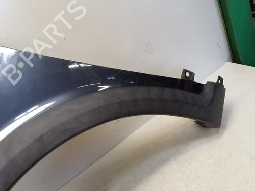 Left front fenders RENAULT SCÉNIC II (JM0/1_) 1.9 dCi (JM14) | BP29362339C41 