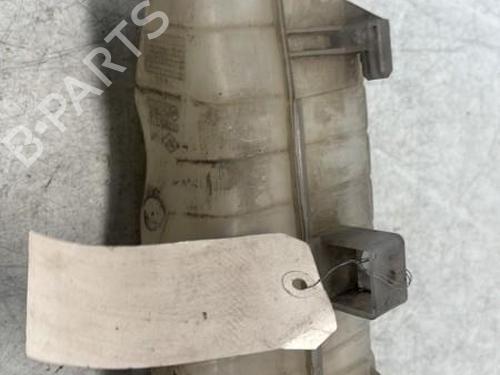 Expansion tank RENAULT CLIO III (BR0/1, CR0/1) 1.5 dCi (BR17, CR17) | BP29367279C120 