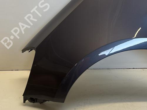 Left front fenders RENAULT CLIO III (BR0/1, CR0/1) 1.5 dCi (BR17, CR17) | BP29364461C41 