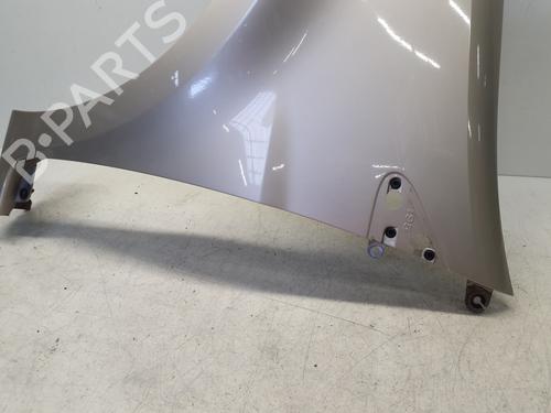 Left front fenders RENAULT CLIO III (BR0/1, CR0/1) 1.5 dCi (BR17, CR17) | BP29364573C41 