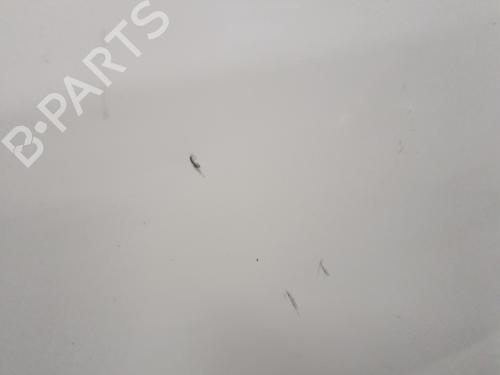 Left front door PEUGEOT EXPERT Van (222) 2.0 HDI | BP29364299C2 