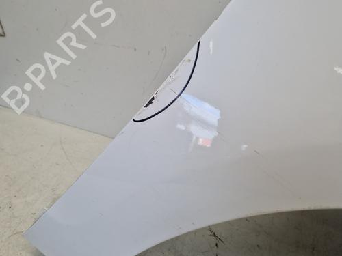 Right front fenders RENAULT SCÉNIC III (JZ0/1_) 1.5 dCi | BP29363590C42 