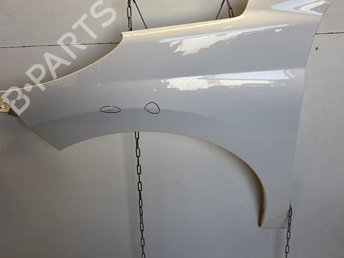 Used Left front fenders PEUGEOT 207 (WA_, WC_) 1.4 HDi (68 hp) 29365144
