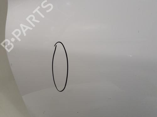 Left front door PEUGEOT 206+ (2L_, 2M_) 1.4 HDi eco 70 | BP29363972C2 