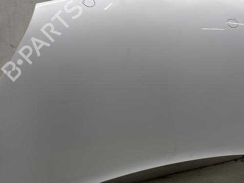 Hood RENAULT KANGOO Express (FW0/1_) 1.5 dCi 90 (FW0G, FW05, FW08, FW11) | BP29744659C1 