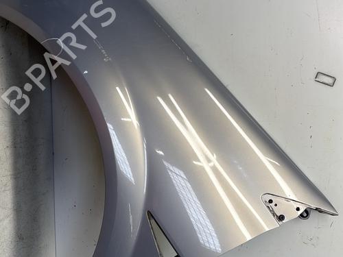 Left front fenders RENAULT MEGANE II (BM0/1_, CM0/1_) 2.0 16V (BM0U, CM0U) | BP29368179C41 