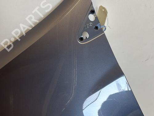 Left front fenders RENAULT CLIO III (BR0/1, CR0/1) 1.5 dCi (BR17, CR17) | BP29364461C41 