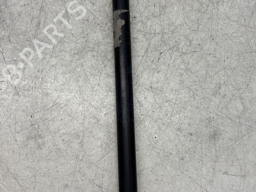Hood lift support RENAULT MEGANE III Hatchback (BZ0/1_, B3_) 1.5 dCi (BZ09, BZ0D, BZ1W, BZ29, BZ14) | BP29368081C139 