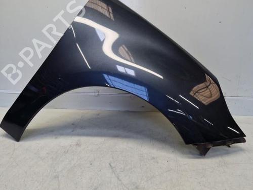 Right front fenders RENAULT GRAND SCÉNIC III (JZ0/1_) 1.5 dCi (JZ09, JZ0D, JZ10, JZ14, JZ1G, JZ29, JZ2C) | BP29369232C42 