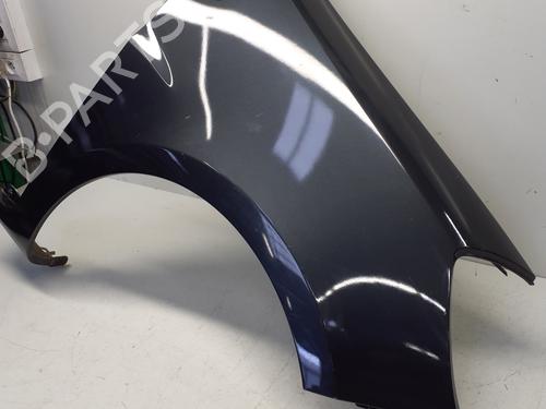 Right front fenders RENAULT CLIO III (BR0/1, CR0/1) 1.5 dCi (BR17, CR17) | BP29364022C42 