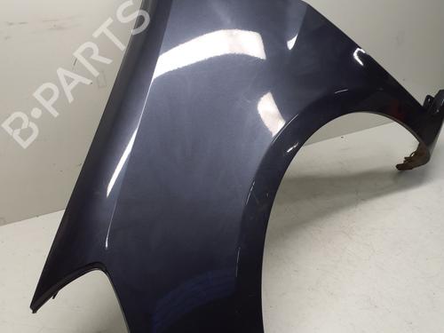 Left front fenders RENAULT CLIO III (BR0/1, CR0/1) 1.5 dCi (BR17, CR17) | BP29368538C41 