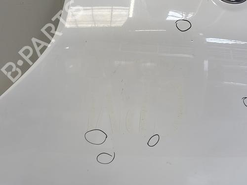 Hood FIAT QUBO (225_) 1.3 D Multijet (225CXB1A, 225AXB1A, 225CXB11, 225AXB11,... | BP29361948C1 