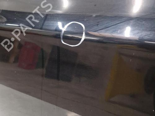 Left front door BMW 1 (E81) 116 d | BP29367023C2 