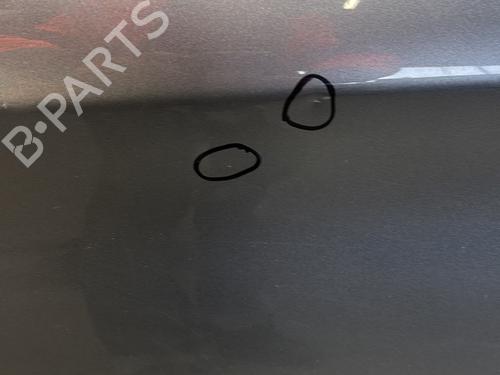 Left rear door NISSAN QASHQAI II (J11, J11_) 1.5 dCi | BP29520107C4 