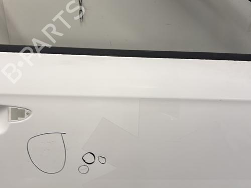 Right front door VW PASSAT B7 (362) 1.6 TDI | BP29365391C3 