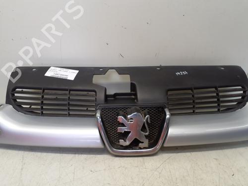 Grille PEUGEOT 206 CC (2D) 1.6 16V (2DNFUF, 2DNFUR) | BP29365626C40 