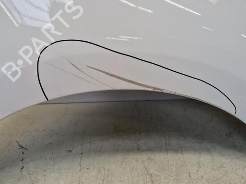 Right front fenders RENAULT SCÉNIC III (JZ0/1_) 1.5 dCi | BP29363590C42 
