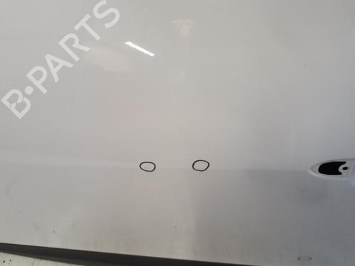 Left front door RENAULT SCÉNIC III (JZ0/1_) 1.5 dCi | BP29363585C2 