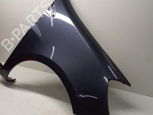 Right front fenders RENAULT CLIO III (BR0/1, CR0/1) 1.5 dCi (BR17, CR17) | BP29368528C42 