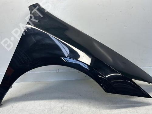 Used Right front fenders RENAULT LAGUNA Coupe (DT0/1) 3.0 dCi (241 hp) 29369767