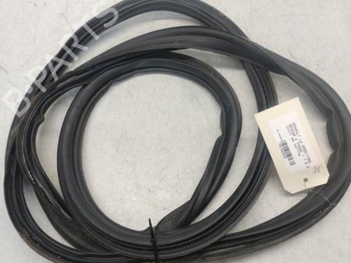 Used Rubber door seal RENAULT MEGANE IV Hatchback (B9A/M/N_) 1.5 dCi 110 (B9A3) (110 hp) 29367534