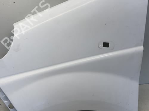 Left front fenders OPEL VIVARO A Van (X83) 1.9 DTI (F7) | BP29362166C41 