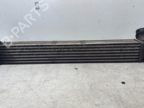 Intercooler RENAULT MEGANE III Hatchback (BZ0/1_, B3_) 1.5 dCi (BZ09, BZ0D, BZ1W, BZ29, BZ14) (110 hp) 29368087