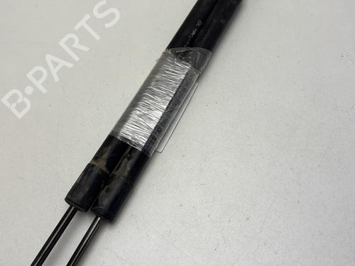 Tailgate lift support PEUGEOT 308 SW II (LC_, LJ_, LR_, LX_, L4_) 1.6 BlueHDi 120 | BP29615431C138 