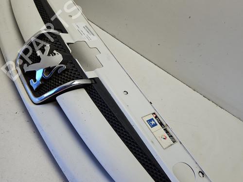 Used Grille Grille PEUGEOT PARTNER Box Body/MPV (5_, G_) 2.0 HDi (90 hp) 33837146 33837146