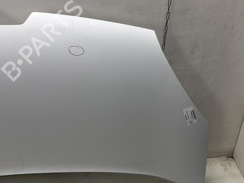 Hood RENAULT KANGOO Express (FW0/1_) 1.5 dCi 90 (FW0G, FW05, FW08, FW11) | BP29744659C1 
