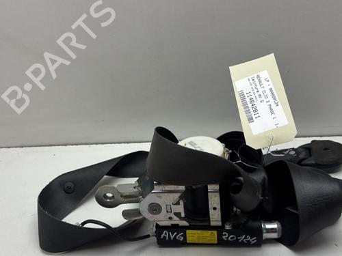 Front left belt tensioner RENAULT CLIO III (BR0/1, CR0/1) 1.4 16V | BP30132300C87 