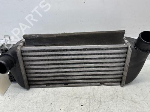 Intercooler FIAT 500 (312_) 1.3 D Multijet (312AXB1A) | BP29367605M30 