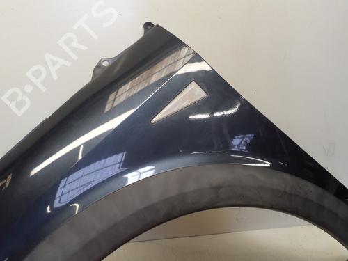 Left front fenders RENAULT SCÉNIC II (JM0/1_) 1.9 dCi (JM14) | BP29362339C41 