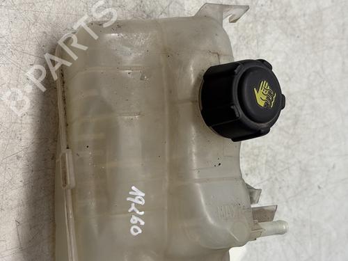 Expansion tank RENAULT MEGANE III Hatchback (BZ0/1_, B3_) 1.5 dCi (BZ09, BZ0D, BZ1W, BZ29, BZ14) | BP29368084C120 