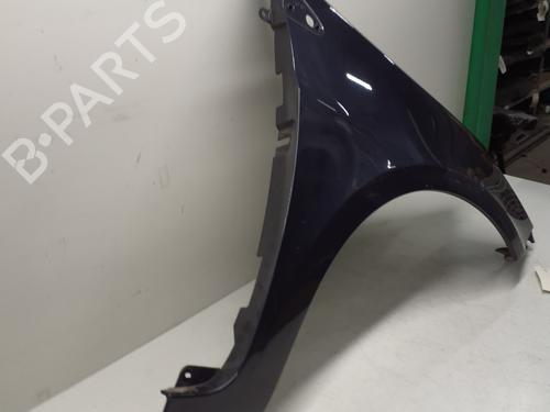 Right front fenders RENAULT CLIO III (BR0/1, CR0/1) 1.5 dCi (BR17, CR17) | BP29368528C42 