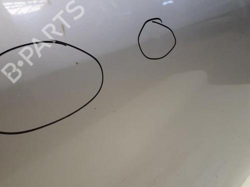 Right front door DACIA DUSTER (HS_) 1.6 16V Hi-Flex | BP29367854C3 