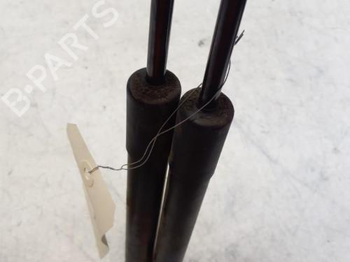 Tailgate lift support OPEL ZAFIRA TOURER C (P12) 2.0 CDTi (75) | BP29369499C138 