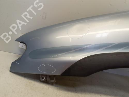 Left front fenders PEUGEOT PARTNER MPV (5_, G_) 2.0 HDI | BP29365738C41 