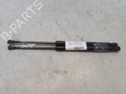 Tailgate lift support BMW 1 (E87) 118 d | BP29367739C138 