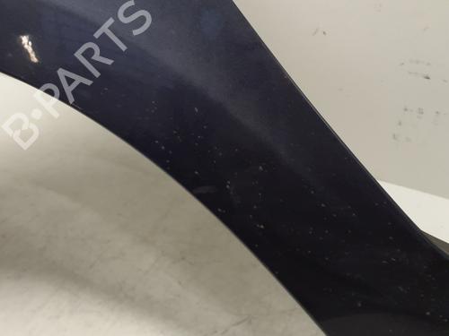 Left front fenders RENAULT CLIO III (BR0/1, CR0/1) 1.5 dCi (BR17, CR17) | BP29368538C41 