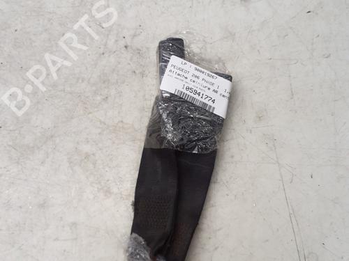 Sikkerhetsbelte-spenne PEUGEOT 206 Hatchback (2A/C) 1.4 HDi eco 70 (68 hp) 29362401