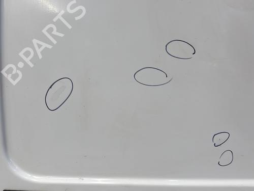 Left tailgate FORD TRANSIT CONNECT (P65_, P70_, P80_) 1.8 TDCi | BP29363401C76 