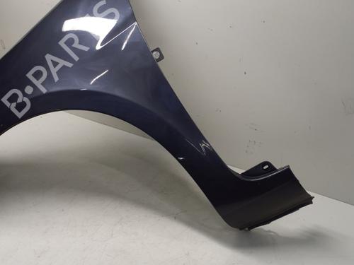 Left front fenders RENAULT CLIO III (BR0/1, CR0/1) 1.5 dCi (BR17, CR17) | BP29368538C41 